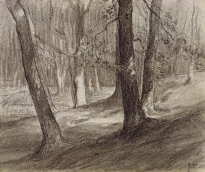 Árvores em uma floresta (carvão)